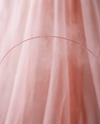 Vevanté Voile — abstract blush field with rose arc